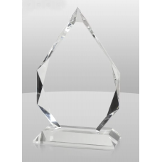 Crystal Triumph Award 